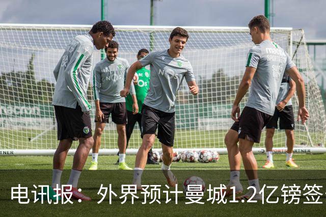 电讯报：外界预计曼城1.2亿镑签安德森 担忧这一价格引发连锁反应